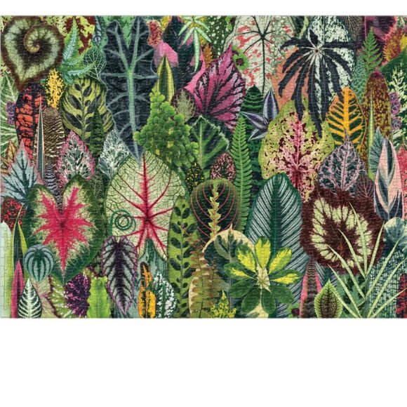 'HOUSEPLANT JUNGLE’ JIGSAW PUZZLE 1000 PIECES - TROY LITTEN | GALISON - Picture 2 of 8